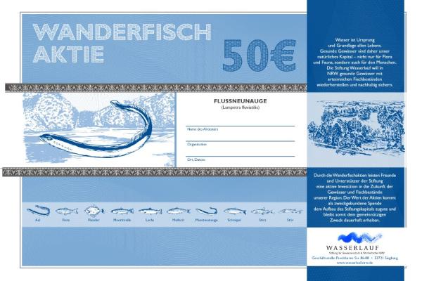 Aktie Flussneunauge