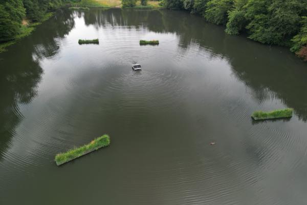 Grafe Zameksee Luftbild Dji 0476